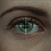 Iris_SISNID-300x300
